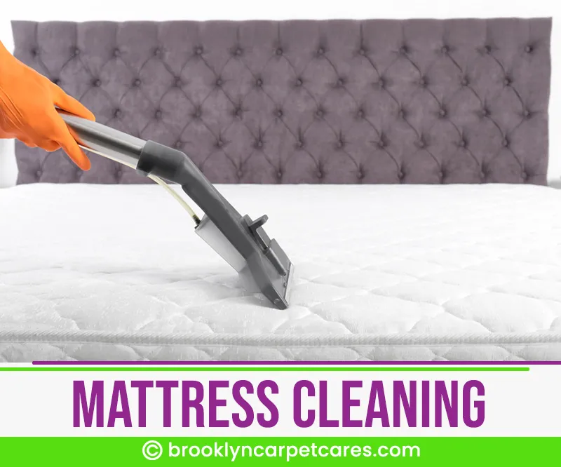 carpet cleaning in brooklyn, carpet cleaning in new york, carpet cleaning brooklyn, carpet cleaners in brooklyn, carpet cleaners in new york, commercial carpet cleaning, commercial carpet cleaning in brooklyn, brooklyn rug cleaners, rug cleaning services in brooklyn, same day carpet cleaning, same day rug cleaning