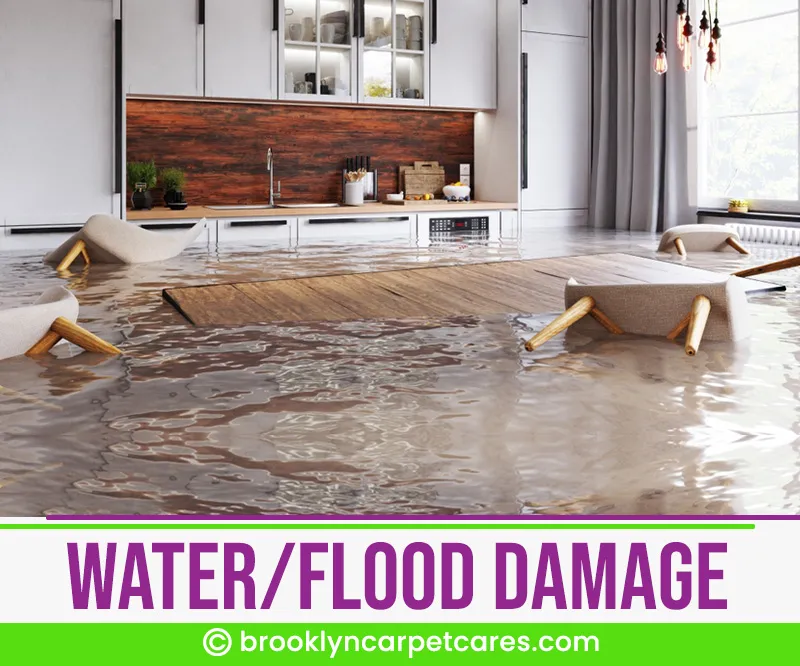 carpet cleaning in brooklyn, carpet cleaning in new york, carpet cleaning brooklyn, carpet cleaners in brooklyn, carpet cleaners in new york, commercial carpet cleaning, commercial carpet cleaning in brooklyn, brooklyn rug cleaners, rug cleaning services in brooklyn, same day carpet cleaning, same day rug cleaning