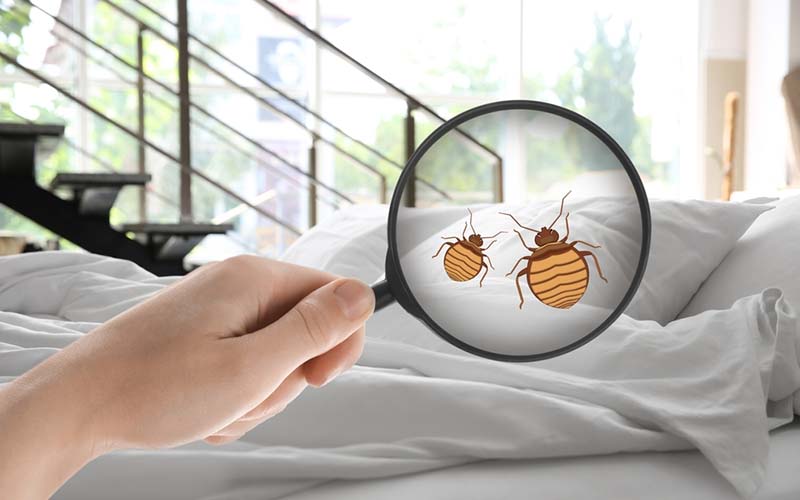 carpet cleaning in brooklyn, carpet cleaning in brooklyn, carpet cleaning brooklyn, carpet cleaners in brooklyn, carpet cleaners in brooklyn, commercial carpet cleaning, commercial carpet cleaning in brooklyn, brooklyn rug cleaners, rug cleaning services in brooklyn, same day carpet cleaning, same day rug cleaning